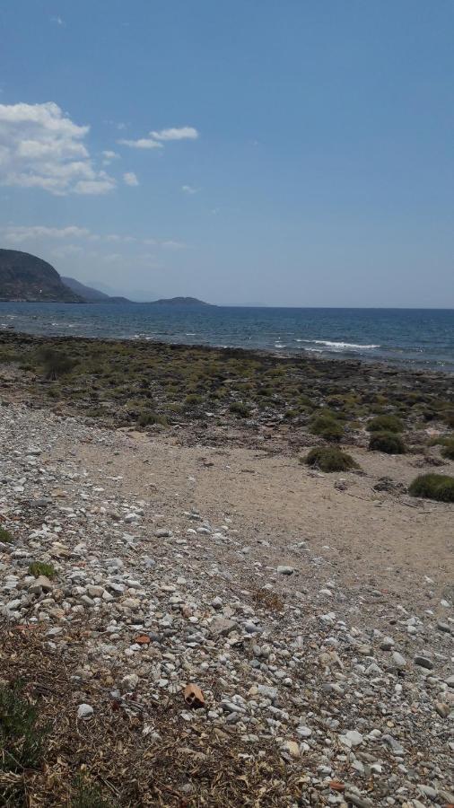 Παραθαλάσσιο Studio Agios Nikolaos  Exterior photo